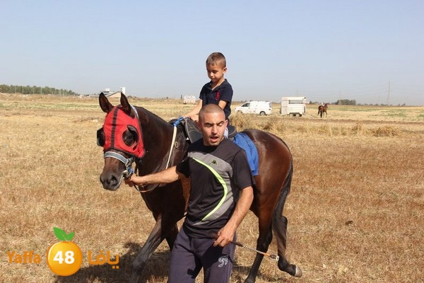 horse race 0602 (8).JPG